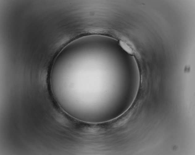 X0000103310201200808291436