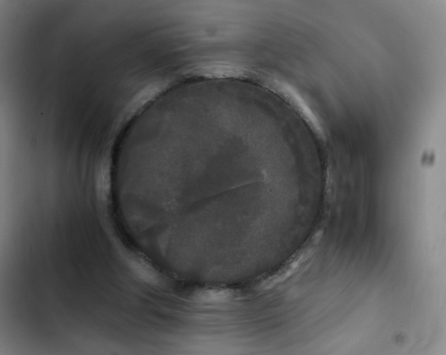 X0000103310202200808291436