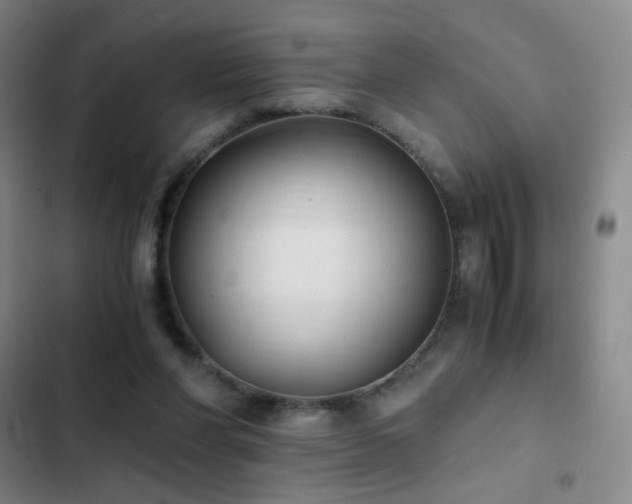 X0000103310206200808291436