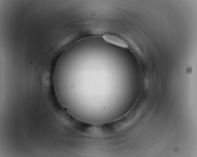 X0000103310211200808291436