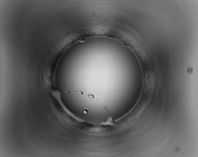 X0000103310212200808291436