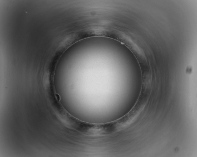 X0000103310213200808291436