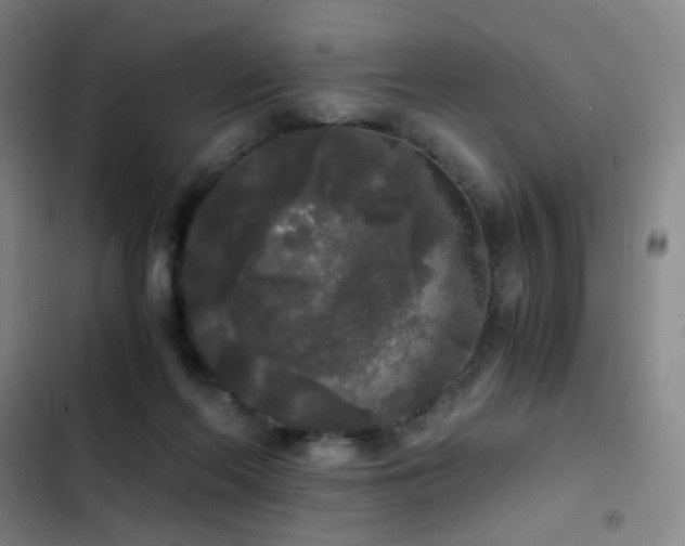 X0000103310214200808291436