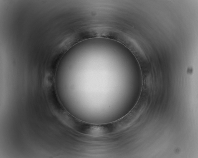 X0000103310218200808291436