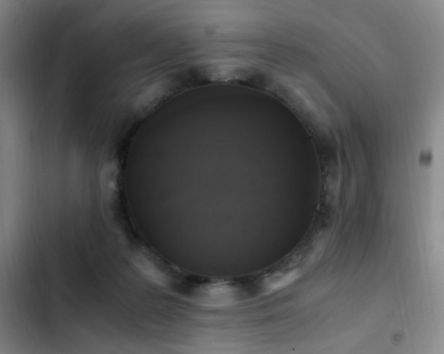 X0000103310219200808291436