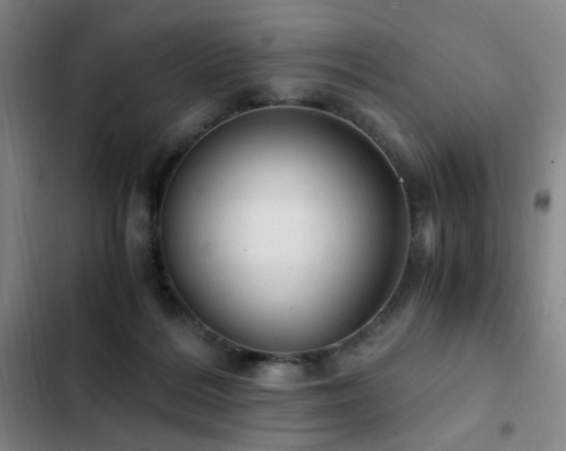 X0000103310220200808291436