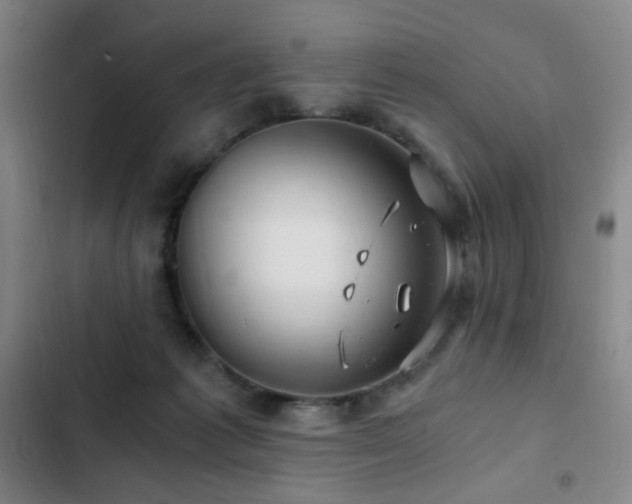 X0000103310221200808291436