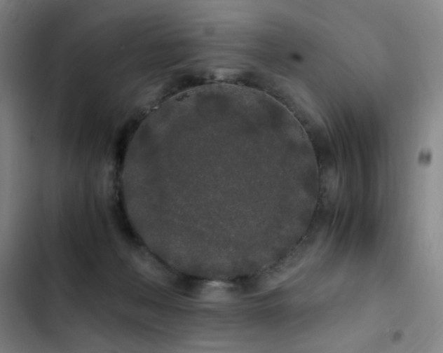 X0000103310222200808291436