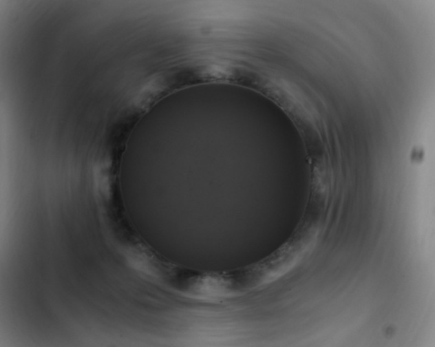 X0000103310223200808291436