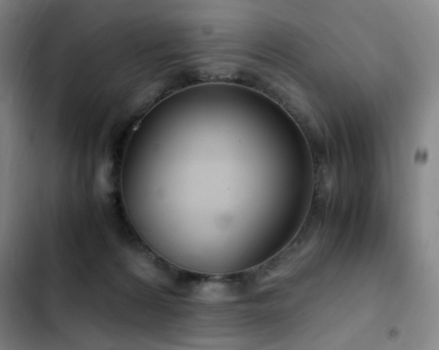 X0000103310224200808291436