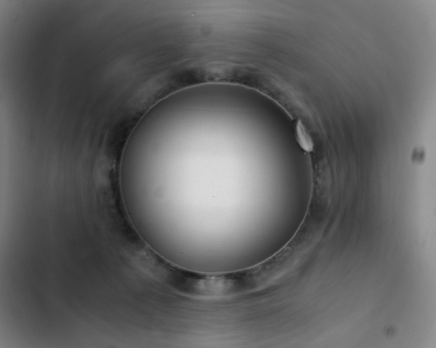 X0000103310225200808291436