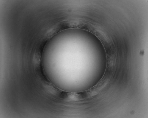 X0000103310226200808291436