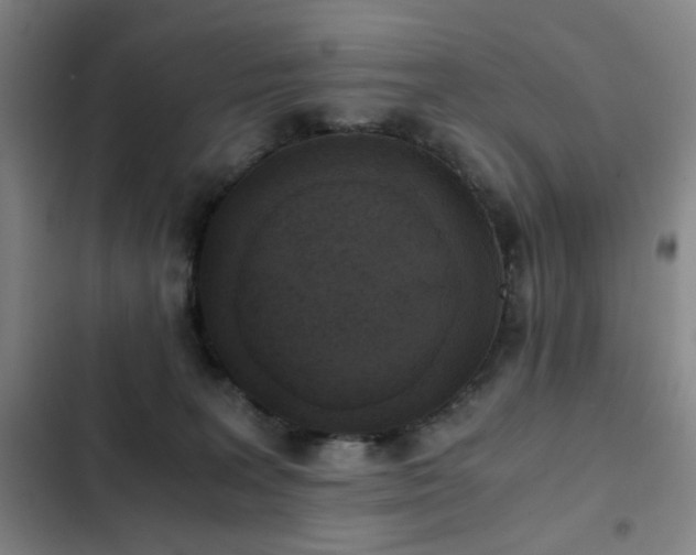 X0000103310227200808291436