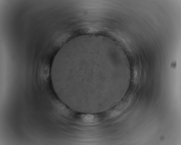 X0000103310230200808291436