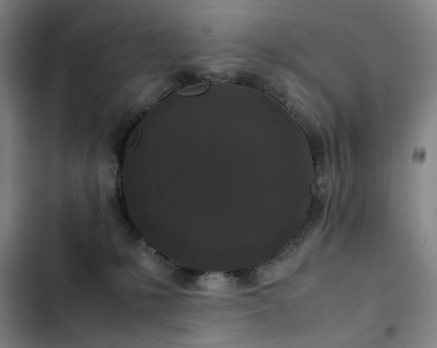 X0000103310231200808291436