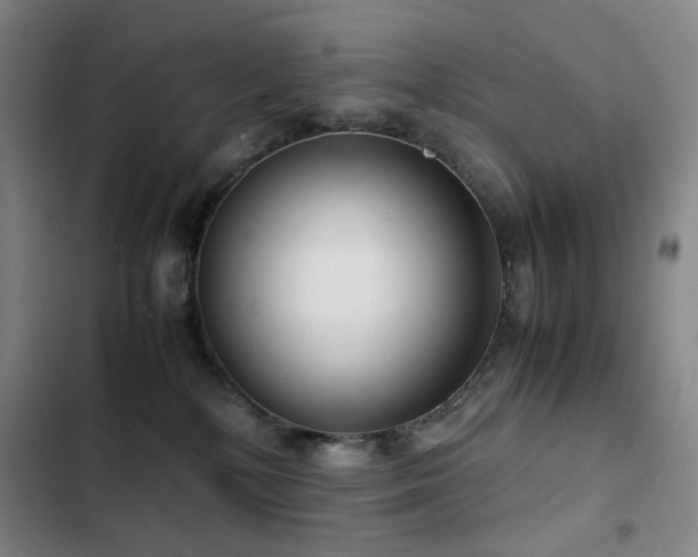 X0000103310232200808291436