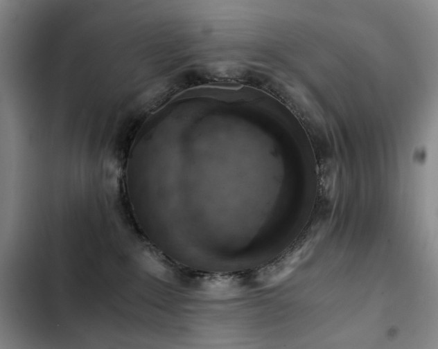 X0000103310235200808291436