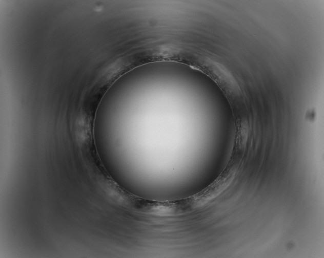 X0000103310236200808291436