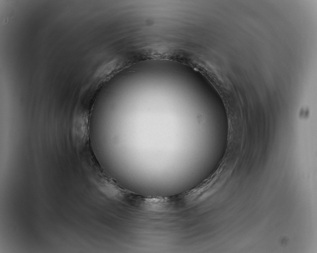 X0000103310240200808291436