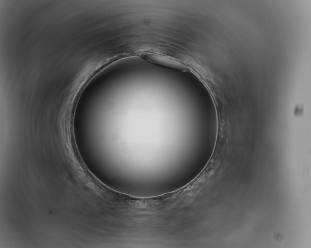 X0000103310241200808291435