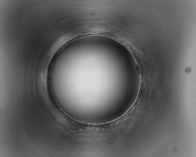 X0000103310242200808291435