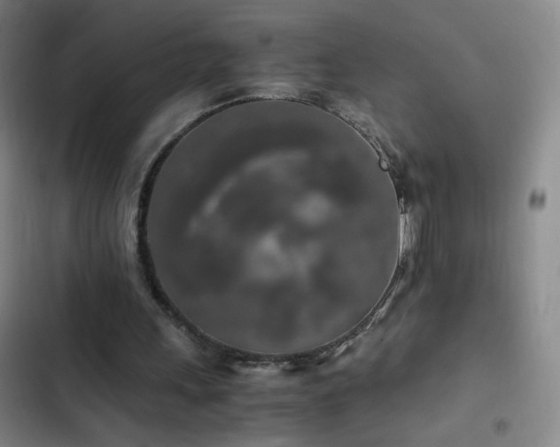 X0000103310243200808291435