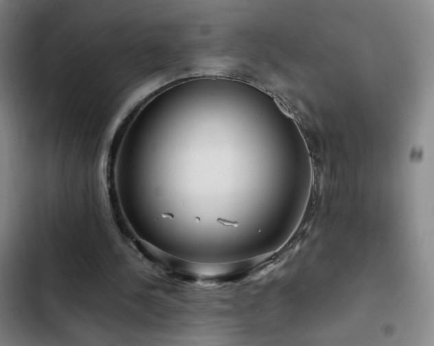 X0000103310244200808291435