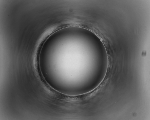 X0000103310245200808291435