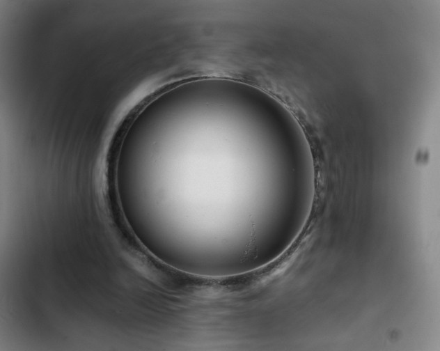 X0000103310246200808291435