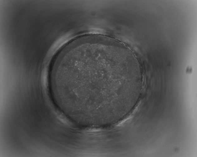 X0000103310247200808291435