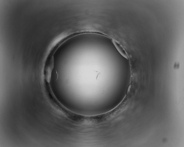 X0000103310248200808291435
