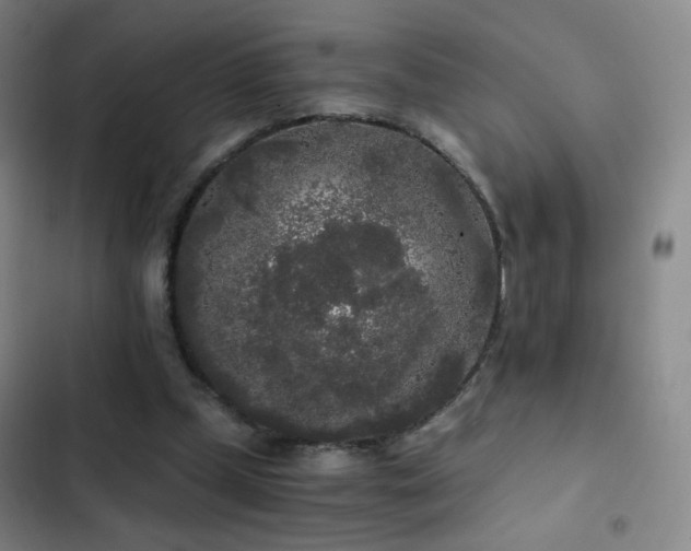X0000103310249200808291435