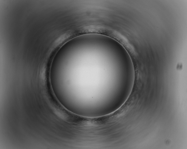X0000103310250200808291435