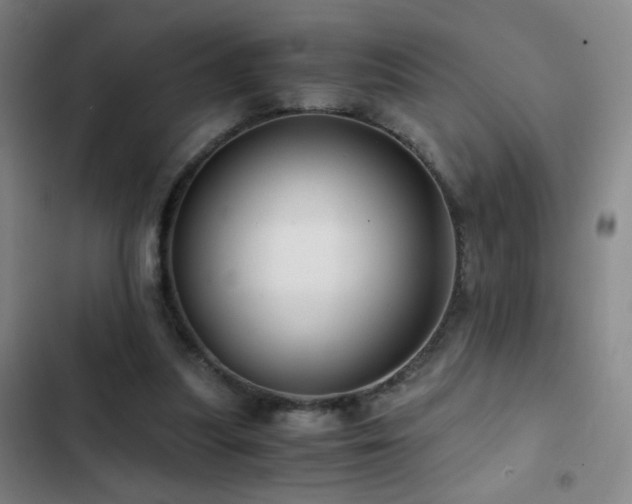 X0000103310251200808291435