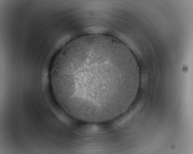 X0000103310254200808291435