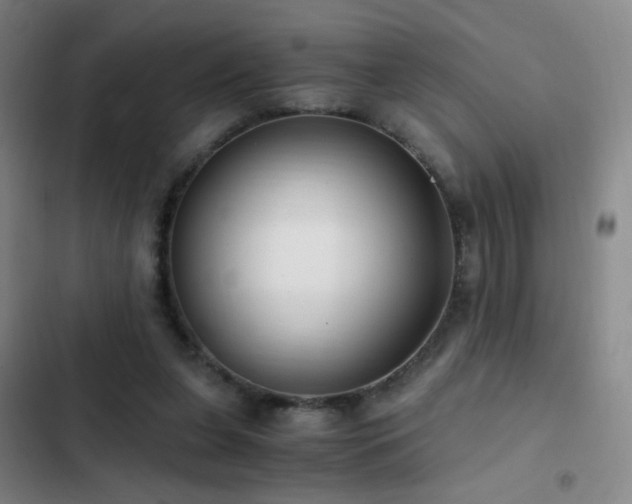 X0000103310255200808291435