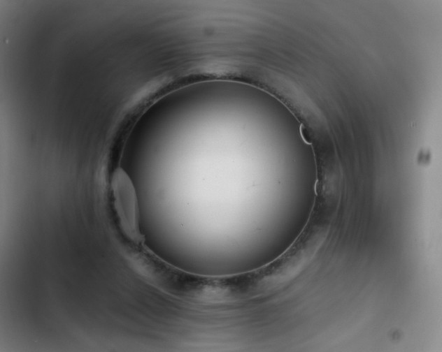 X0000103310256200808291435