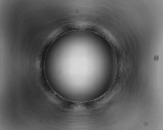X0000103310258200808291435