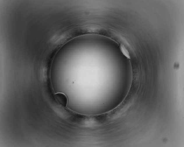 X0000103310262200808291436