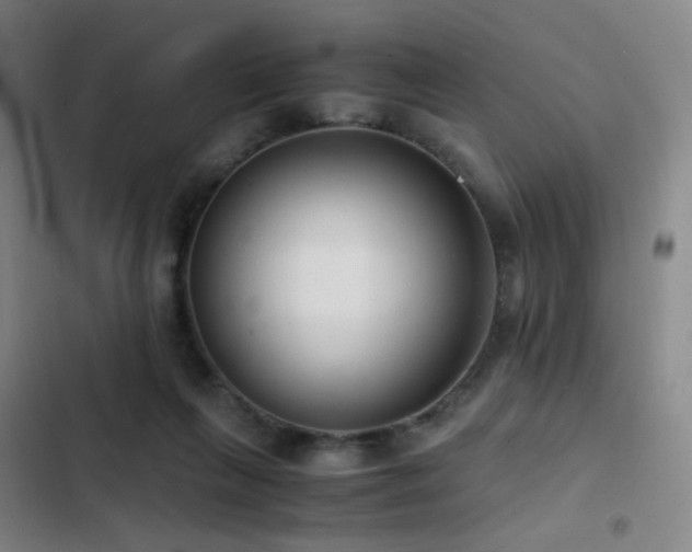X0000103310263200808291436