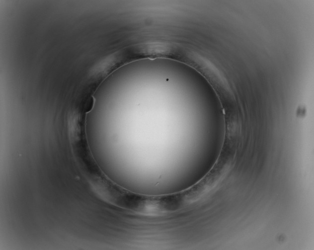 X0000103310264200808291436