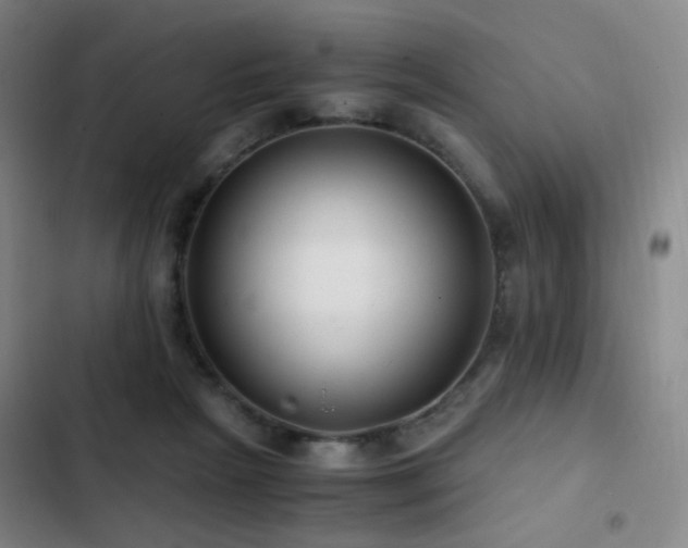 X0000103310265200808291436
