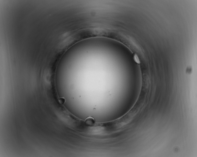 X0000103310266200808291436