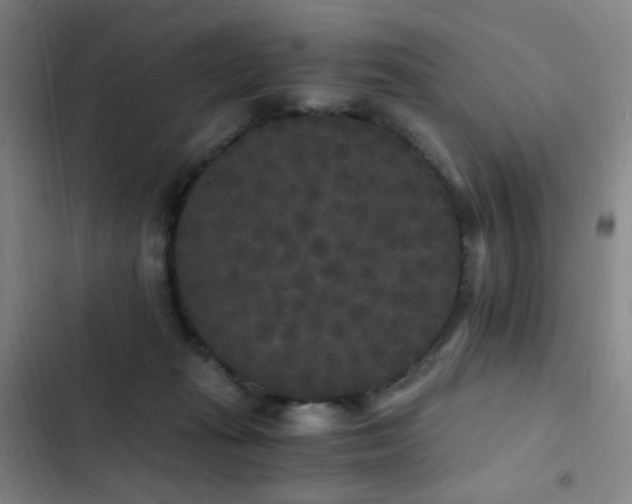 X0000103310269200808291436