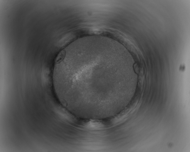 X0000103310270200808291436