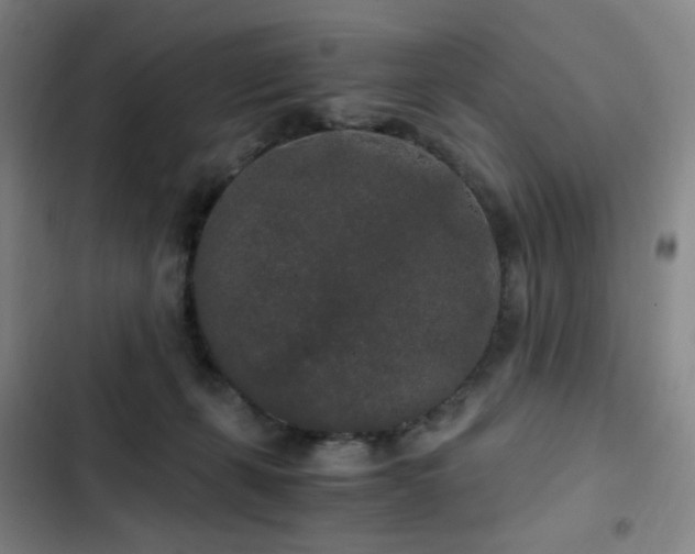 X0000103310271200808291436