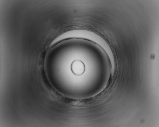 X0000103310272200808291436