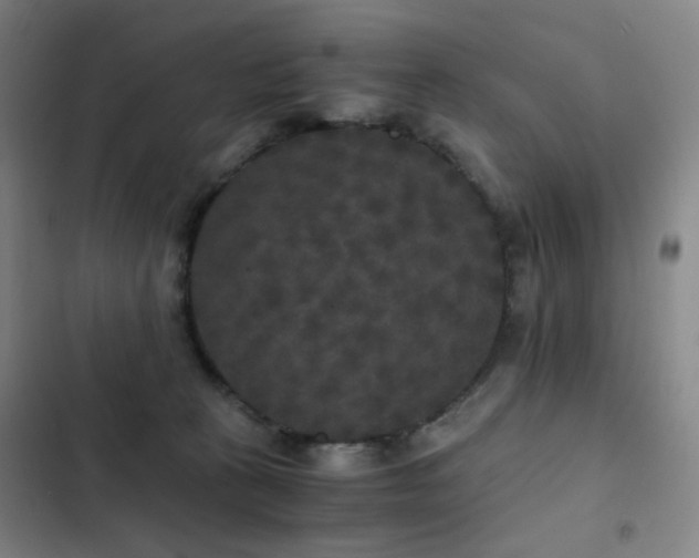 X0000103310273200808291436