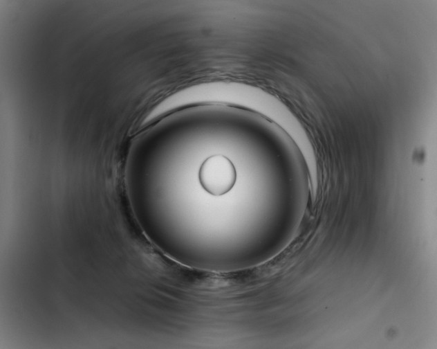 X0000103310276200808291436