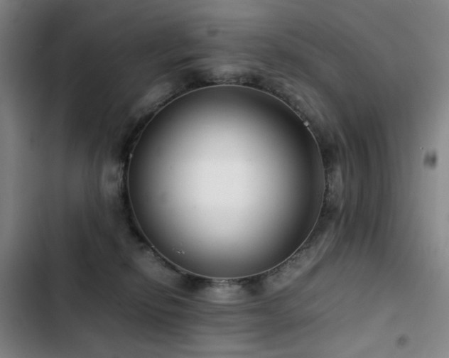 X0000103310278200808291436